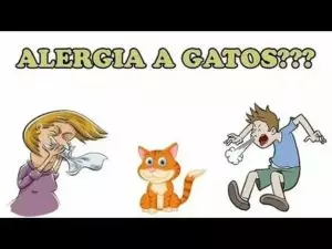 Como saber se tem alergia a animais e o que fazer