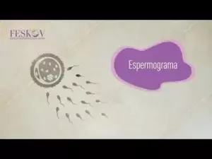 Como entender o resultado do Espermograma