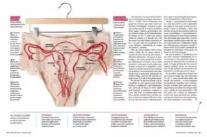 Dor ou pontadas no útero: o que pode ser e que exames fazer